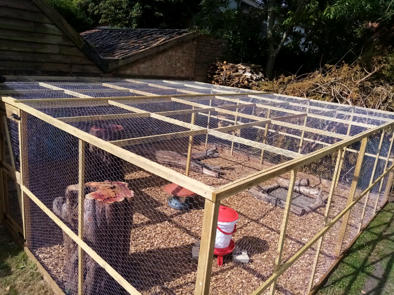 Chicken Enclosure for sale in UK View 58 bargains