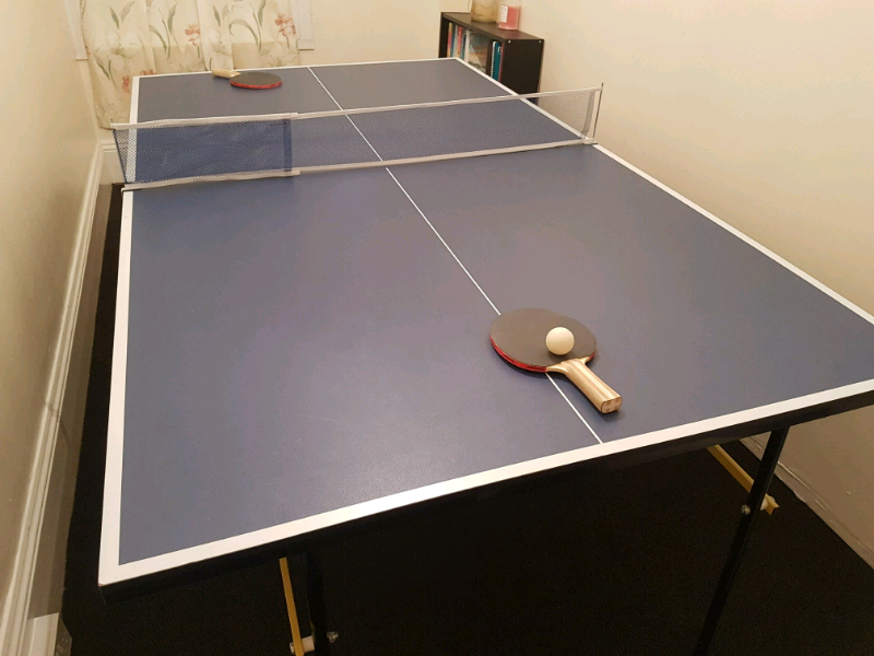 Foldable Ping Pong Table In Plymouth Devon Gumtree
