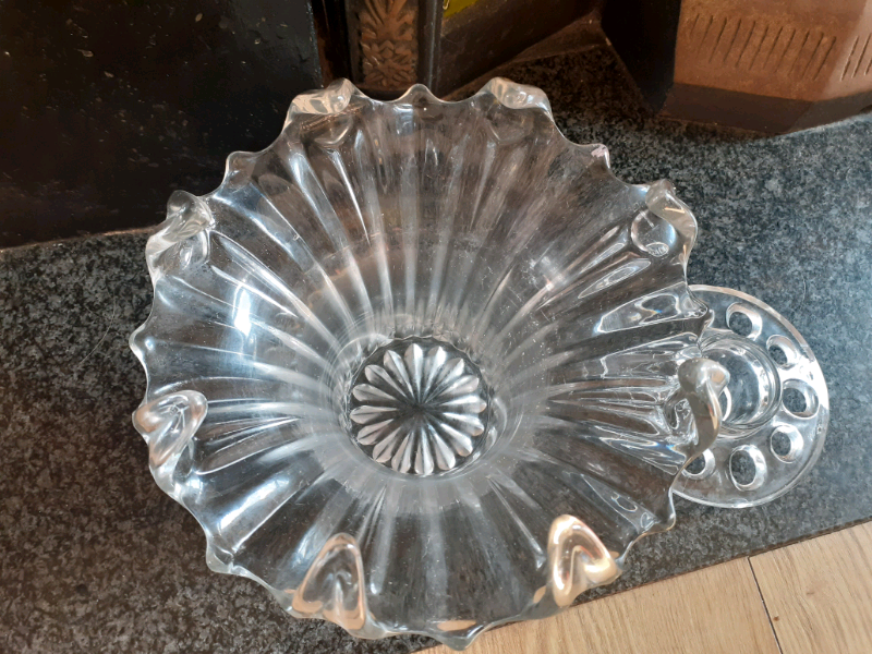 Glass Frog for sale in UK 70 secondhand Glass Frogs