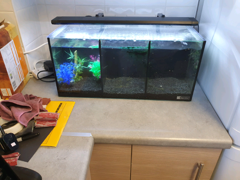 Aqua one betta trio tank in Witney, Oxfordshire Gumtree