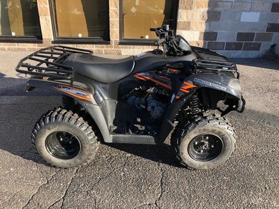 2017 Kawasaki Brute Force 300 Used