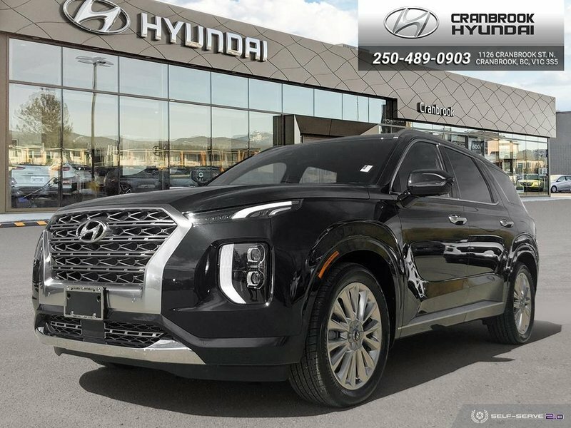 Bluelink hyundai palisade
