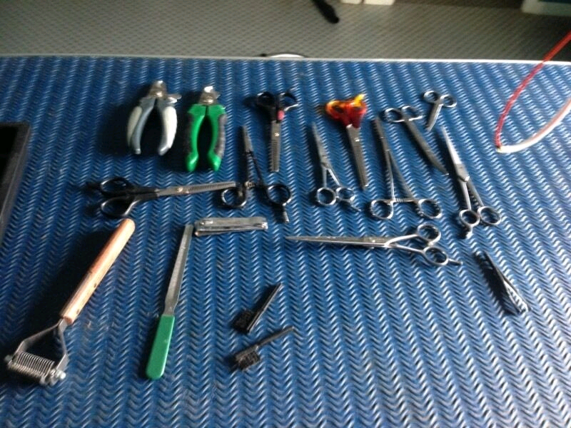 Dog Grooming Equipment for sale in UK View 60 bargains