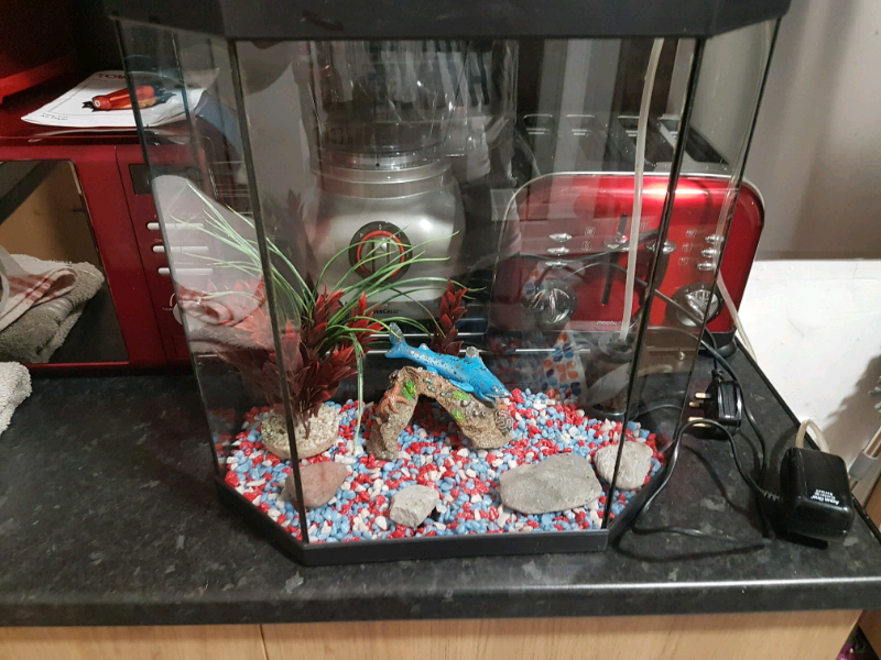 25 liter Lovely fish tank in Sunderland, Tyne and Wear Gumtree