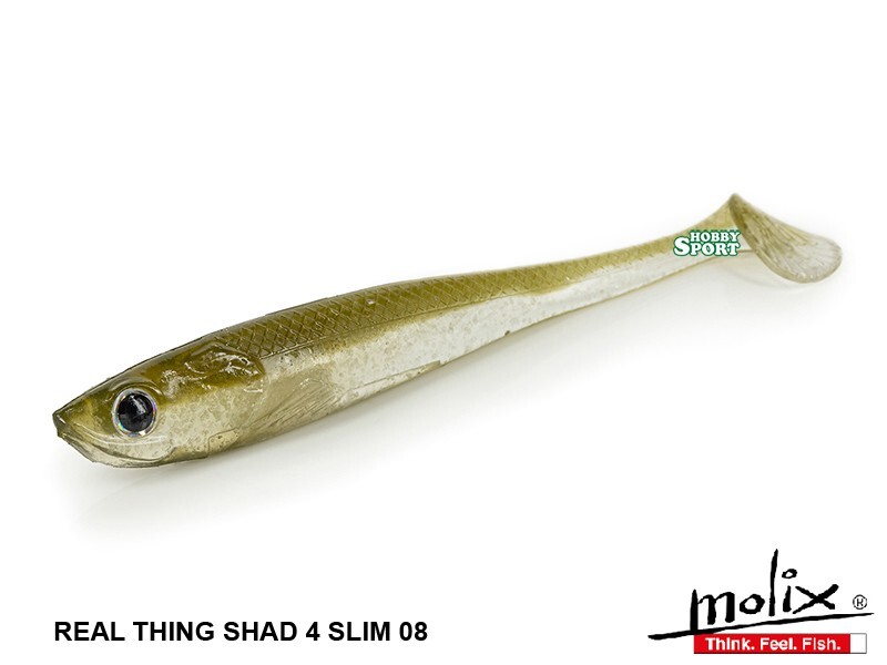 MOLIX RT SHAD 4" SLIM COLORE 08 ALBURNO SHAD  SPINNING LAGO FIUME MARE  5 PZ