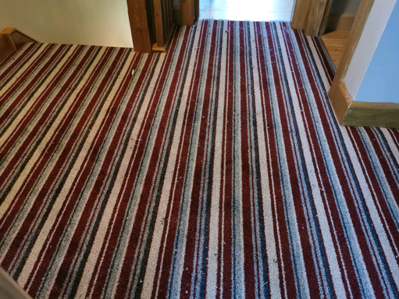 FITTED CARPETS in Dungannon, County Tyrone Gumtree