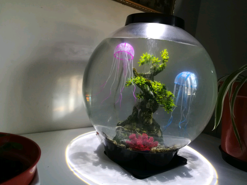 Round Fish tank in Temple Meads, Bristol Gumtree