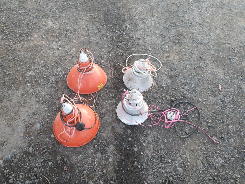 Lamb heat lamps lambing time farm livestock tractor in Motherwell