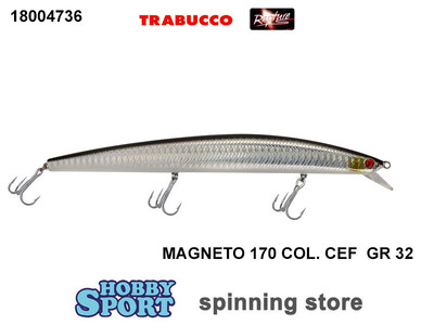 MAGNETO LONG JERK RAPTURE 170 MM COL CEF  32 GR  ARTIFICIALI MARE SPINNING