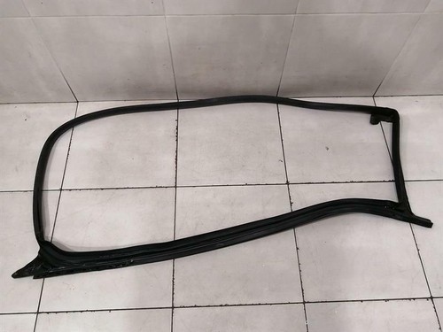 TESLA MODEL 3 FLH Door Seal 1090499-00-L Türdichtungen Vorne Links