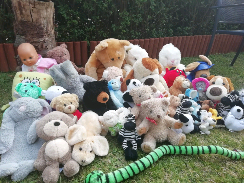 Cuddly toys in Newquay, Cornwall Gumtree