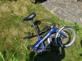 compass classic bike
