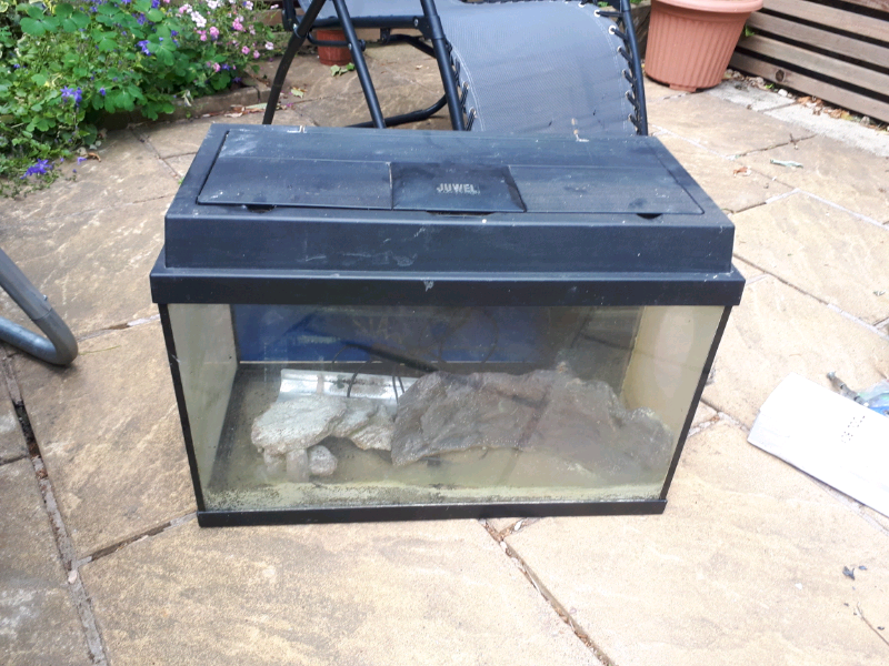 2ft jewel fish tank in Leicester, Leicestershire Gumtree