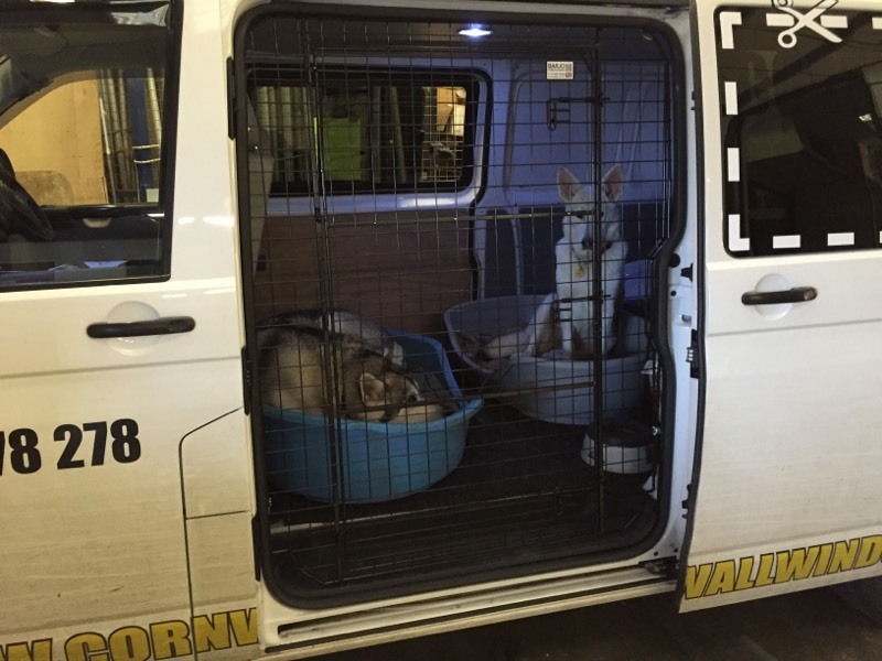 VW T5 Side Door Dog Guard, Barjo, As new. Volkswagen Transporter