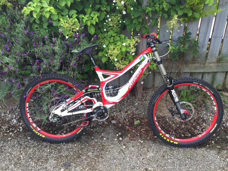 mountain bike demo sale