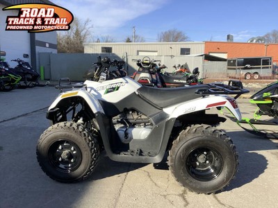 2018 Arctic Cat® Alterra 150 White