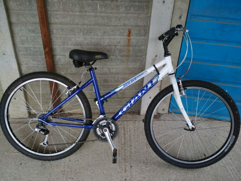 Giant Boulder Women's Mountain Bike 17" Frame in ShorehambySea