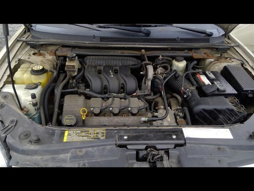 Picture 2