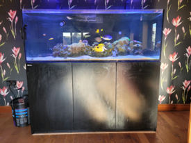 Red Sea Reefer For Sale Aquariums Gumtree