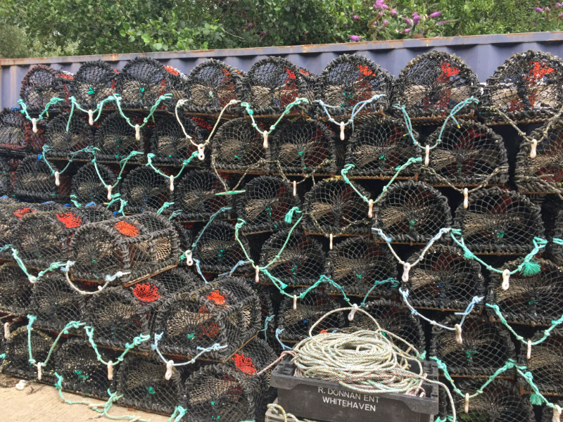 Lobster Pot for sale in UK 29 secondhand Lobster Pots