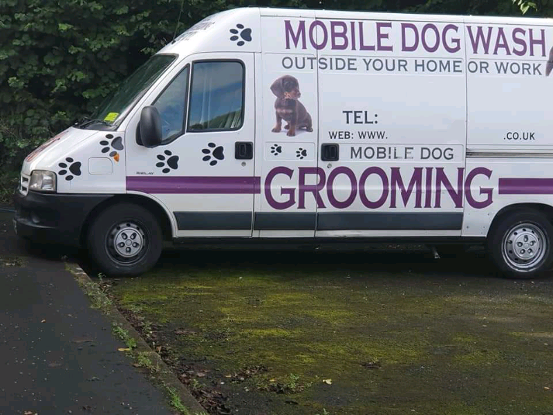 Citroën relay dog grooming van in Swansea Gumtree