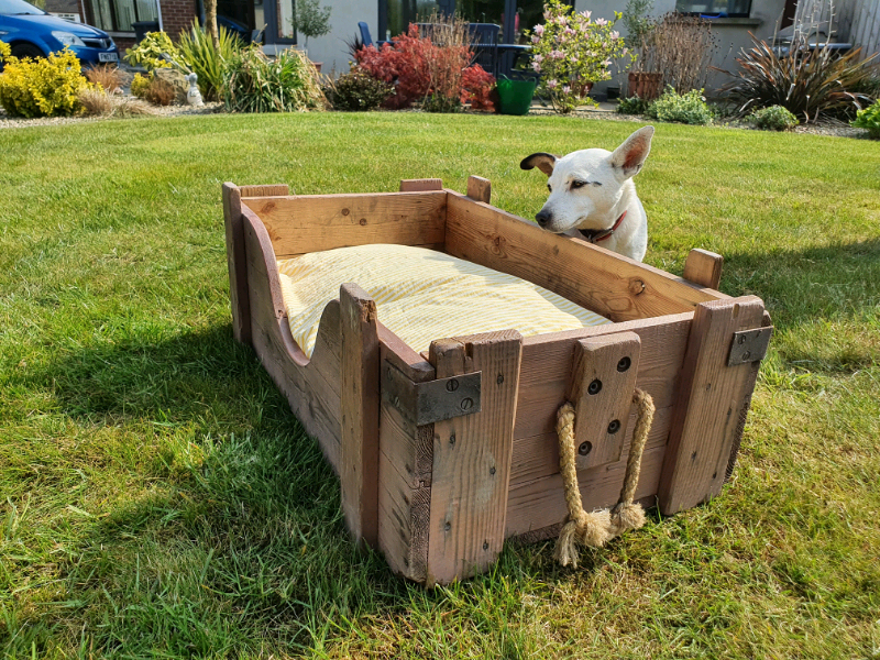 Dog box in Lisburn, County Antrim Gumtree