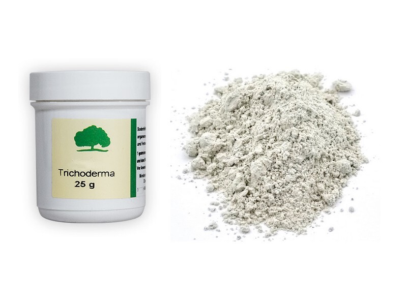 Trichoderma 25g Bodenhilfsstoff Mit Mikroorganismen / FÃ¼R Wurzelwachstum 