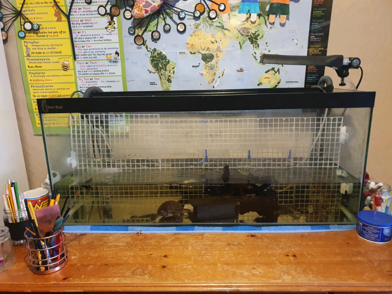 Tropical fish tank 3ft x 1ft 1.2ft in Nottingham, Nottinghamshire