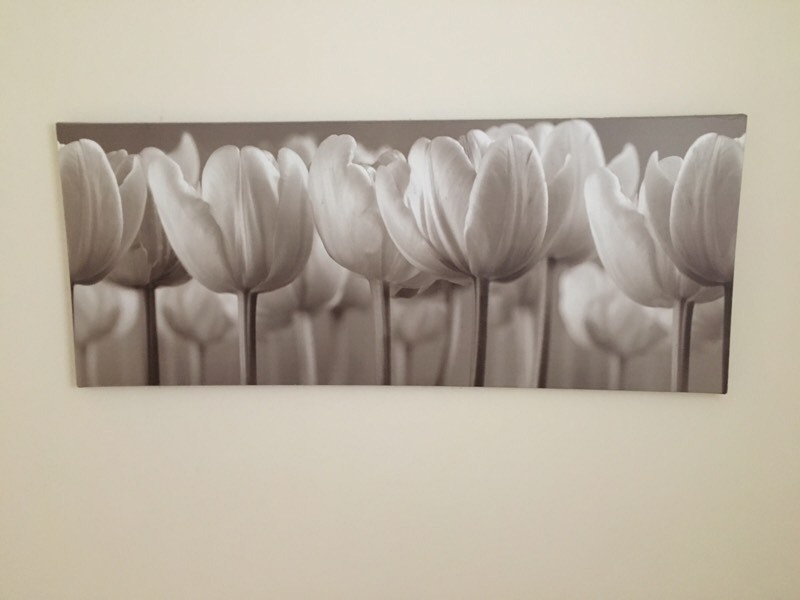 Large wall art canvas sepia tulips flowers ikea in Ely, Cardiff Gumtree