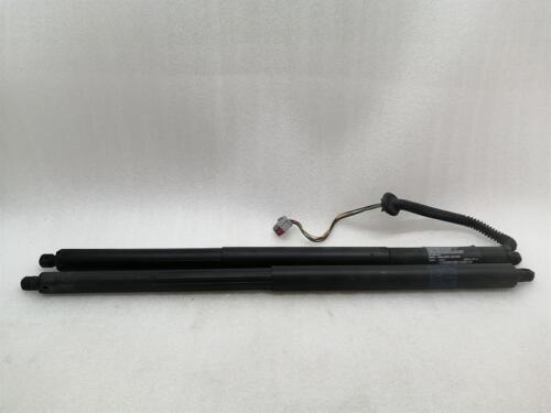 TESLA MODEL S 70 Boot lid strut set 6006610-00-B Gasdruckfeder Gasdruckdämpfer
