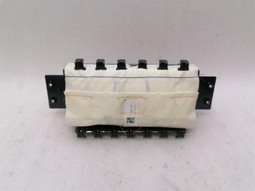 TESLA MODEL 3 STANDARD RANGE Module 1077824-CN-F Modul