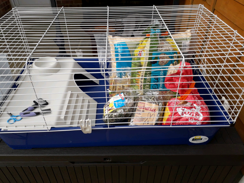 Guinea pig cage and accessories in Knaresborough, North Yorkshire