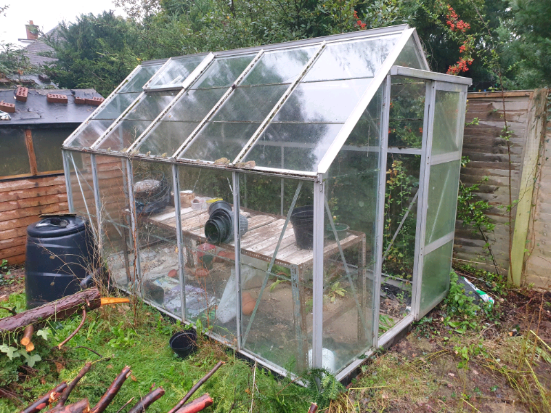 Green House For Sale in Exeter, Devon Gumtree