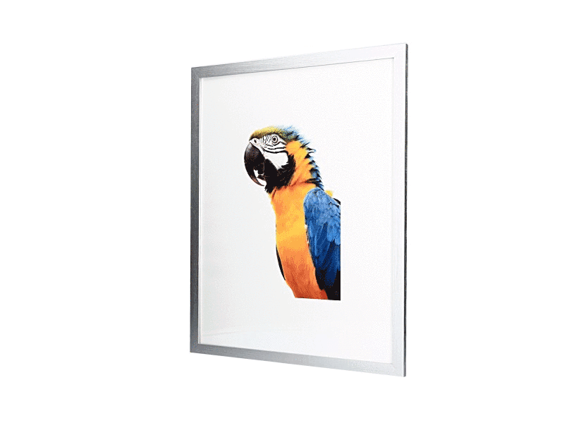 Bilderrahmen aus Holz SILBER 10x15cm bis 70x100cm Fotorahmen Pakatrahmen