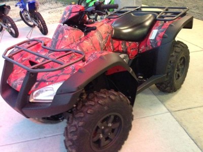 2013 Honda® FourTrax Rincon