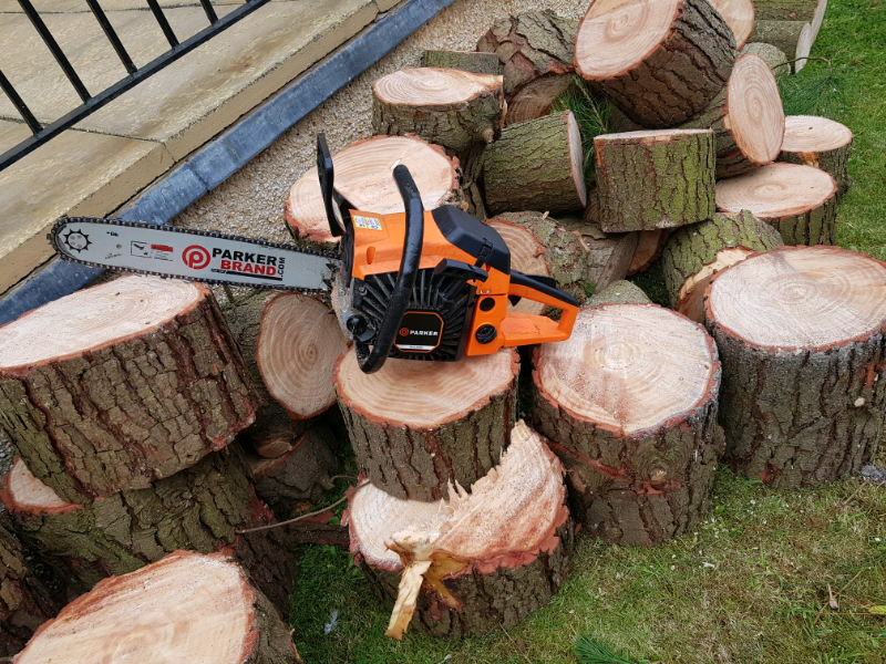 chainsaw in Rosewell, Midlothian Gumtree