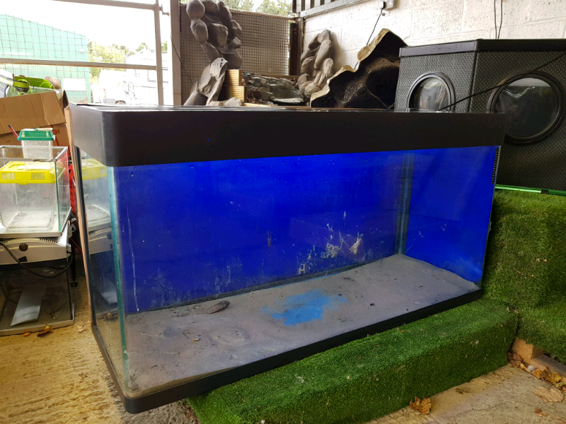 4 foot fish tank with light