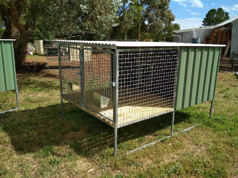 How To Build A Raised Dog Kennel All You Need Infos