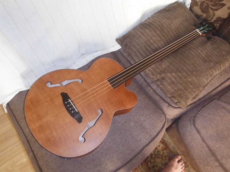 ARIA FEB/FLFN Fretless Acoustic Bass in Leigh, Manchester Gumtree