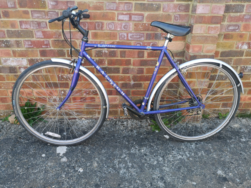 raleigh pioneer 1980s