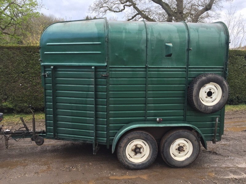Rice Europa horse box trailer in Hastings, East Sussex Gumtree