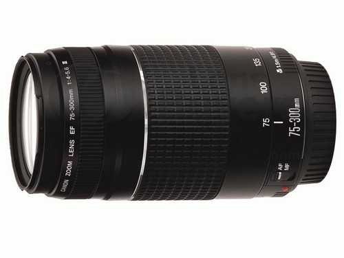 Meyer Optik Gorlitz Telemegor 300mm F4.5 Telephoto Lens for