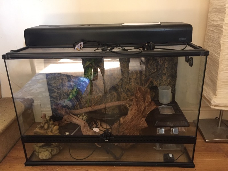 Exo Terra Terrarium/Vivarium 90x45x60 | in Cleckheaton ...