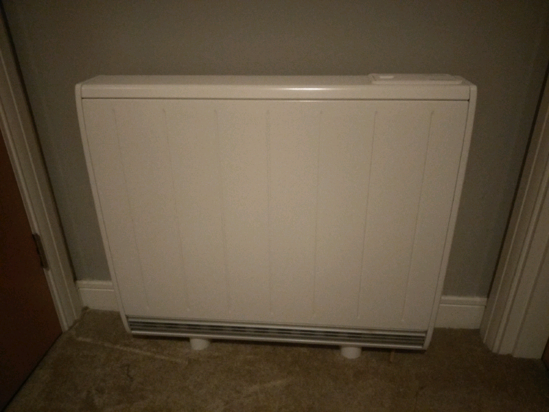 dimplex quantum qm100