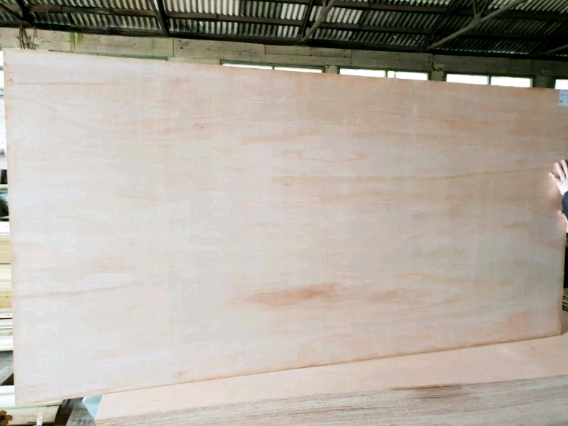 marine ply plywood 8 x 4 foot building supplies wood