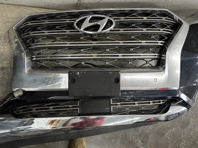 Grille Lower Chrome And Black Fits 20 PALISADE 893006