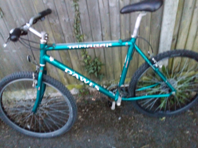 dawes junior road bike