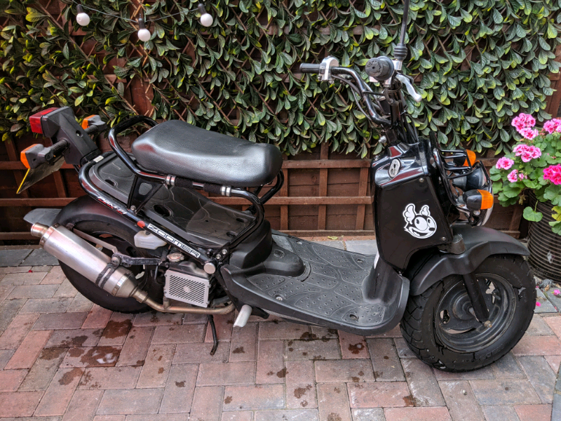Honda ruckus zoomer