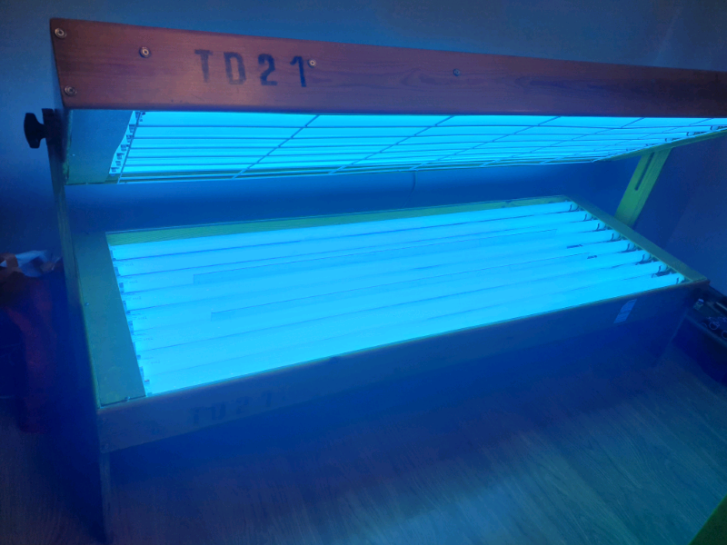 SUNBED in Perth, Perth and Kinross Gumtree