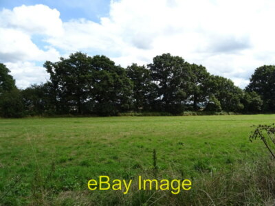 Photo 6x4 Grazing and woodland Stonehall Common   c2021